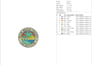 do professional embroidery digitizing into dst pes in 1 hour